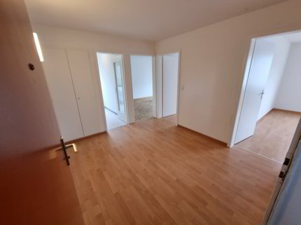 Freundliche 3.5 Zimmerwohnung, sehr zentral und doch ruhig! 1/5