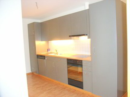 1.5-Zimmerwohnung in ruhigem Quartier 1/5