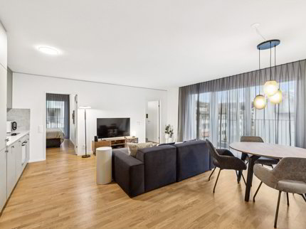 Design-Apartments im Lisbon-Style Direkt am Bahnhof Muttenz 1/5