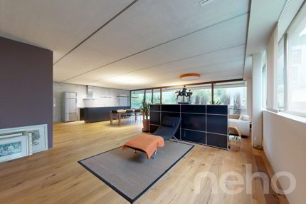 Stilvolle 3.5-Zimmer-Loftwohnung in Richterswil 1/5