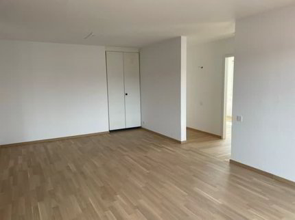 APPARTEMENT 4.5 RENOVE AVEC BALCON ET ASCENSEUR 1/5