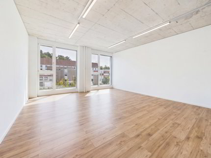 Moderne 5.5-Zimmer Büro-/Gewerbefläche in Baar mieten 1/5