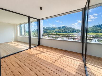 Einmalige 4.5-Zimmerwohnung im 9. Obergeschoss mit Weitblick über das Suhrental 1/5