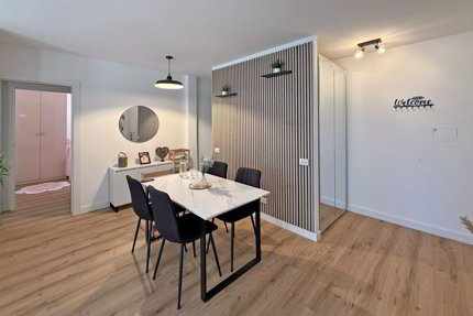 BELLISSIMO 3.5 LOCALI INTERAMENTE RINOVATO A LUGANO SUD 1/5