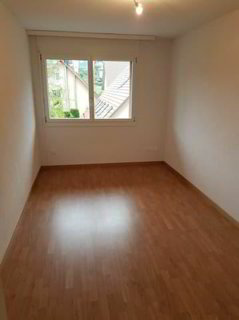 Grosse, moderne Wohnung mit Balkon 1/5