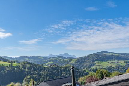 7.5-Zi. Einfamilienhaus mit Garten und Säntisblick - Umbauobjekt 1/5