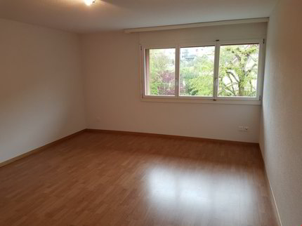 Grosse, moderne Wohnung mit Balkon 1/5
