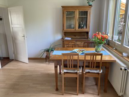 3 ZIMMER-HAUS IN ZÜRICH - KREIS 11 AFFOLTERN, MÖBLIERT, TEMPORÄR 1/5