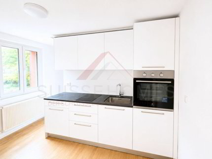 Studio de 1.5 pièces en location à Flumenthal - Réf SHBKStudio3 09 1/3