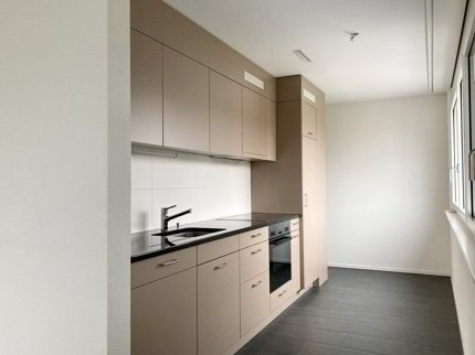 Appartement de 2.5 pièces en location à Estavayer-le-lac - 63 m² 1/5