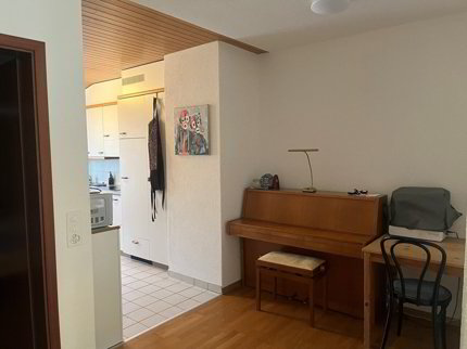 Stadtnahe 2.5-Zimmerwohnung 1/1