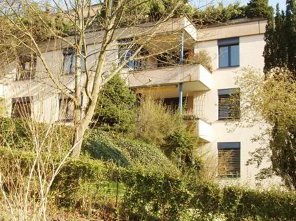Grosszügige Wohnung an ruhiger Lage im Grünen 1/1