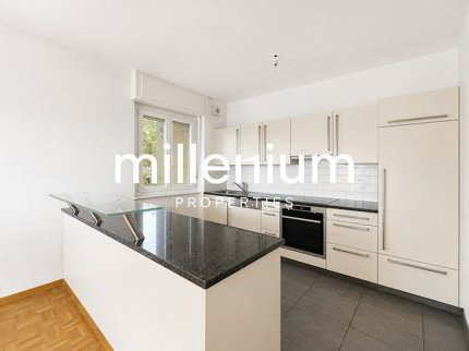 Appartement 5P au coeur de Meyrin 1/5