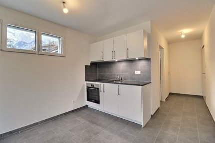 Magnifique appartement de 1 pièce au rez 1/3