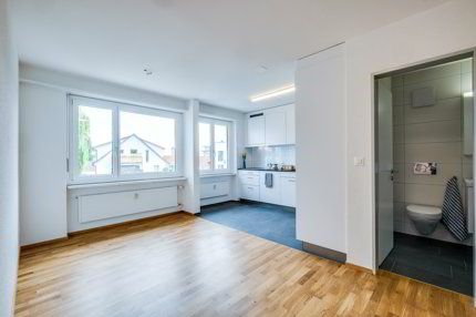 Ihr neues Zuhause in unmittelbarer Nähe zum Bodensee 1/5