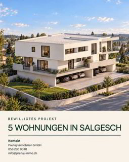 Bauland in Salgesch mit bewilligung für 5 WHG ! 1/1