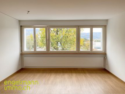 3-Zimmerwohnung / Appartement de 3 pièces 1/5