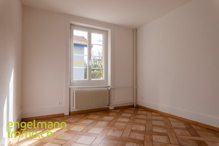 3 Zimmer-Wohnung / Appartement de 3 pièces 1/5