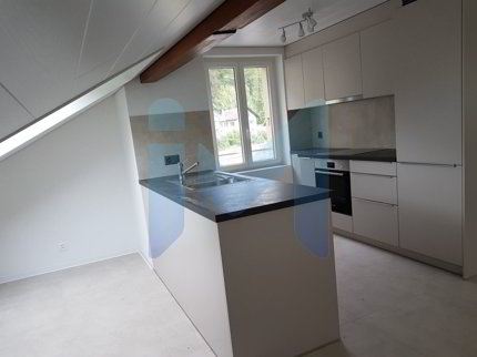 appartement 2.5 pces avec grande terrasse 1/5