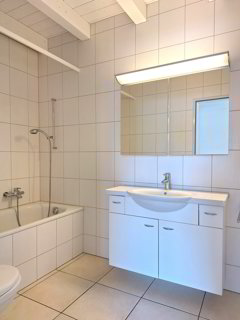 Sie suchen eine 3.5-Zimmer-Galeriewohnung? Schauen Sie rein! 1/5