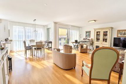 Magnifique appartement en viager occupé sans rente 1/5