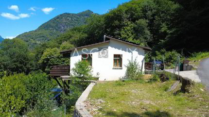 Rustico de 3.5 pièces en vente à Arbedo - 65 m² 1/5