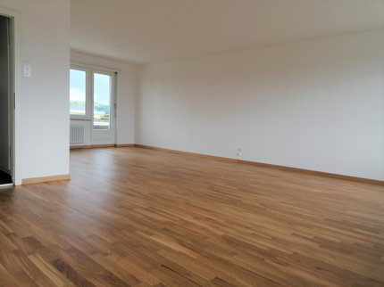 Wohnen mit unglaublicher Aussicht über Basel! 1/5