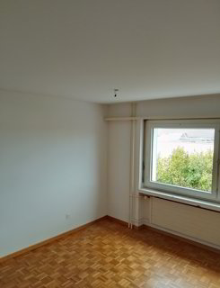 Charmante 1.5-Zimmer-Wohnung in Bronschhofen 1/5
