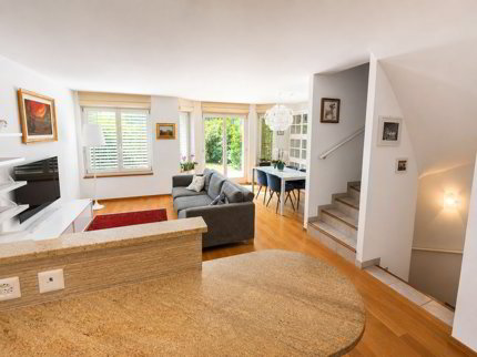 Maison jumelée de 5 pièces en location à Carouge GE - 207 m² 1/5
