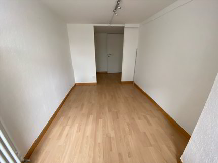1 Zimmerwohnung direkt in Binningen 1/3