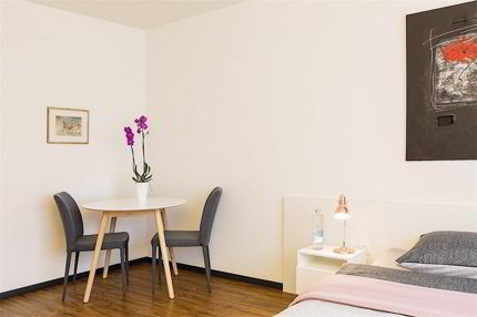 Appartement de 1 pièce en location à Basel - Réf 12.1.1001 1/3