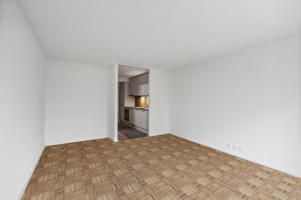Magnifique appartement 1 pièce rénové CAUTION GRATUITE 1/5