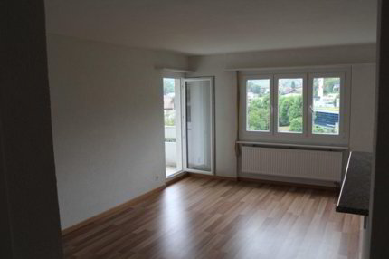Gemütliche 2-Zimmer-Wohnung mit Balkon in Rudolfstetten-Friedlisberg 1/5