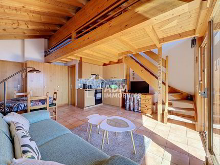 Appartement meublé de 1.5 pièces en location à Ovronnaz 1/5
