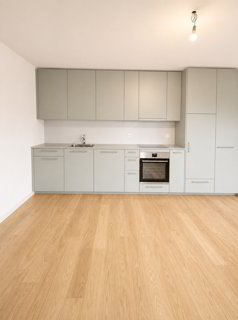 Neusanierte 2.5 Zimmerwohnung 1/5