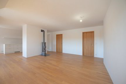 Exklusive Dachwohnung mit traumhaftem Rheinblick 1/5