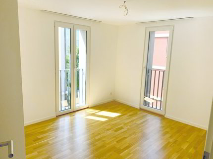 Appartement de 2 pièces en location à St. Gallen - 29 m² 1/5