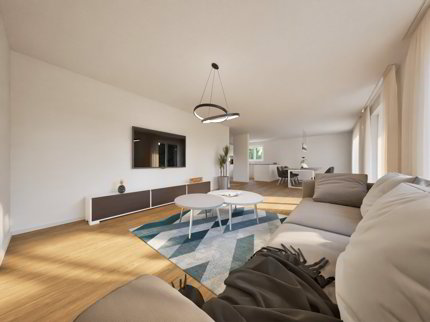 5.5 Zimmer Neubau Einfamilienhaus zum Mitgestalten (Haus B) 1/5
