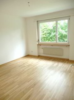 4.5-Zimmerwohnung direkt an der Zihl 1/5
