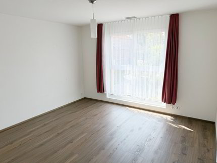 Helle 3.5-Zimmer-Attikawohnung mit Südausrichtung 1/5