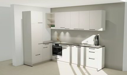 Appartement entièrement rénové à louer ! 1/1