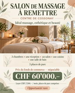 Salon massage avec 3 places de parking 1/1