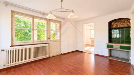 1'061 m² voller Möglichkeiten - charmantes Einfamilienhaus mit Erweiterungspotenzial 1/5