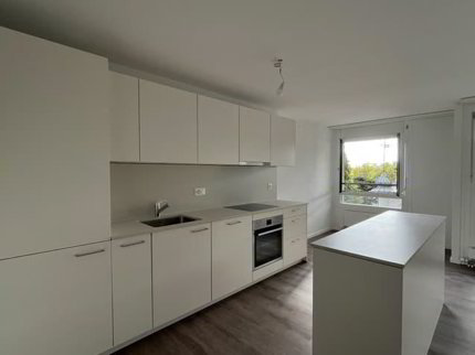 Appartements de 3.5pcs à louer / 3.5 Zimmerwohnung zu vermieten 1/5