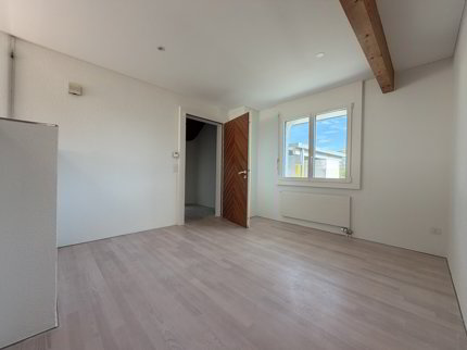 Frick / Freistehendes Einfamilienhaus 1/5