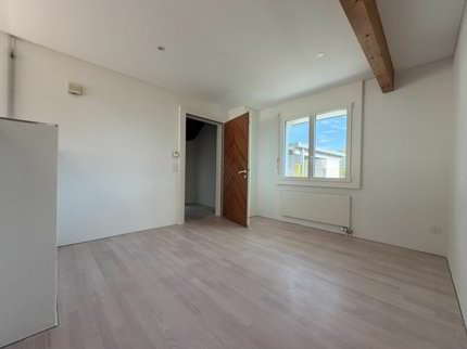 Frick / Freistehendes Einfamilienhaus 1/5