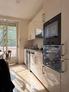 Bel appartement 4 pièces de style ancien au centre-ville de Genève 1/5