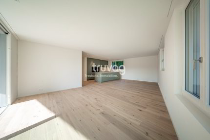 Appartement de 3.5 pièces en location à Triengen - 116 m² 1/5