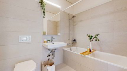 Top moderne Wohnung in Allschwil 1/5