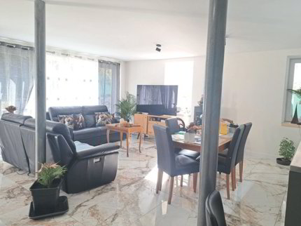 APPARTEMENT TRIPLEX 5.5 PIECES 150 M2 AVEC TERRASSE 1/5